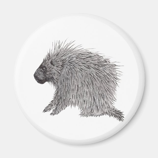 Imã Porcupine (Frente)