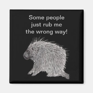 Imã Porcupine
