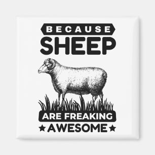 Imã Porque As Ovelhas São Espantosas