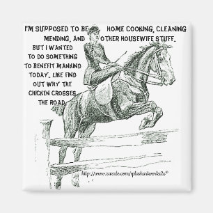 Imã "Porque faz a cruz da galinha a estrada "