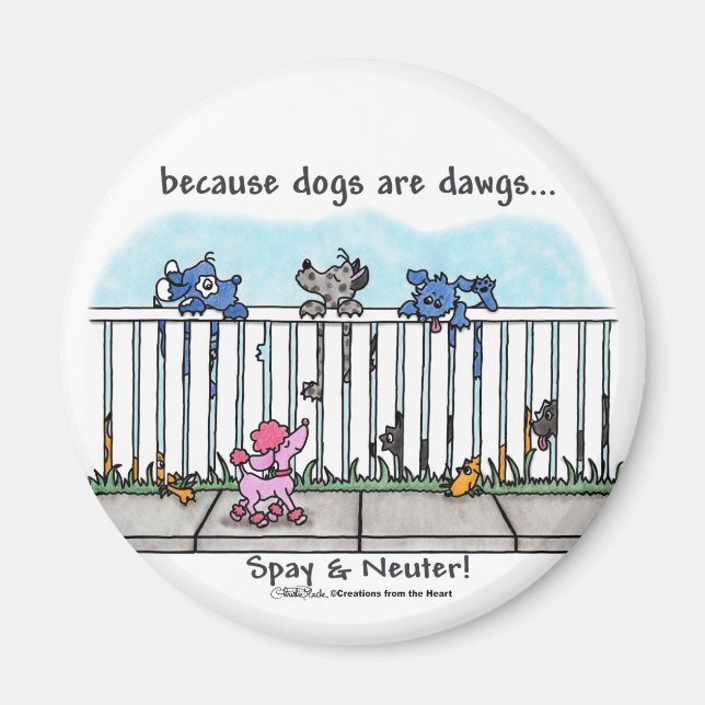 Imã Porque os cães são Dawgs (Frente)