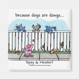 Imã Porque os cães são Dawgs