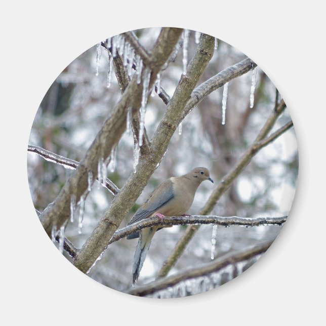 Imã Porta de luto (Frente)