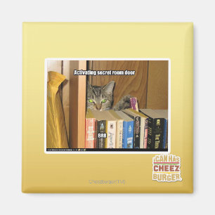 Imã Porta secreta de activação da sala