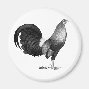 Imã Portal do vermelho do Gamecock