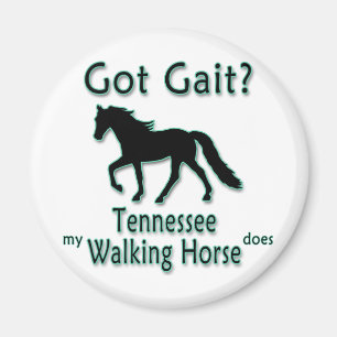 Imã Porte obtido? Meu cavalo de passeio de Tennessee