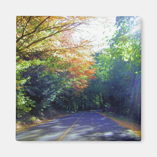 Imã Portland, Oregon Road até ao Rosa Garden (Frente)