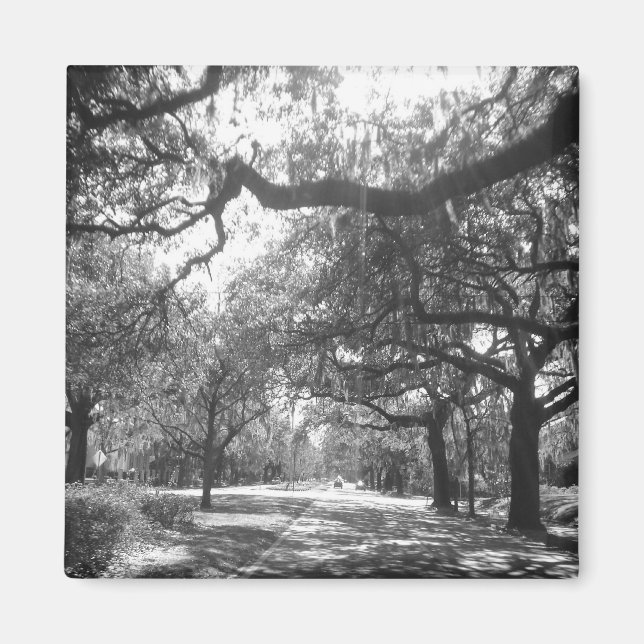 Imã porto da natureza (Frente)