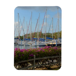 Ímã Porto de Iates de Virgin Gorda