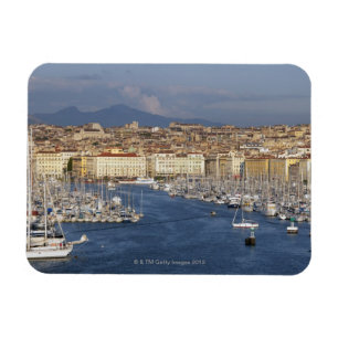 Ímã Porto de Vieux