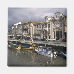 Imã Portugal, Aveiro. Moliceiros (coleta de algas)