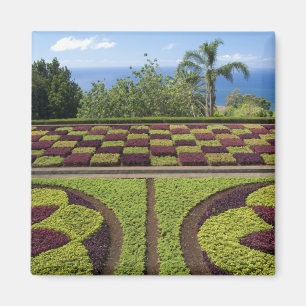 Imã Portugal, Ilha da Madeira, Funchal. Botânico