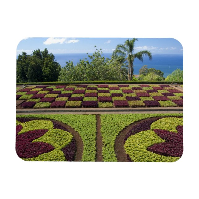 Ímã Portugal, Ilha da Madeira, Funchal. Jardim Botânic (Horizontal)