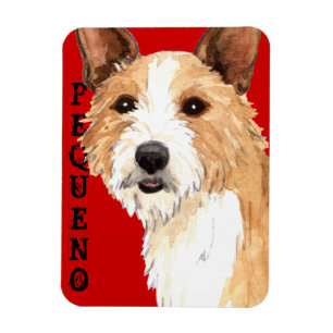 Ímã Português Podengo Pequeno