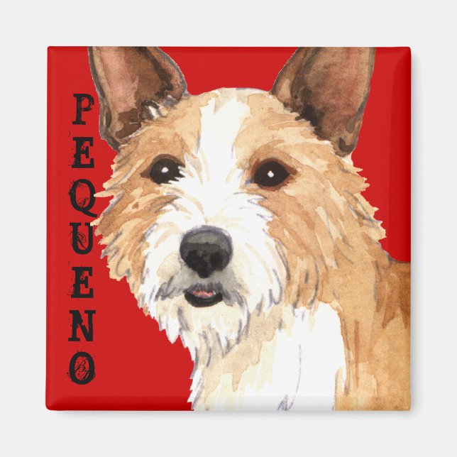 Imã Português Podengo Pequeno (Frente)