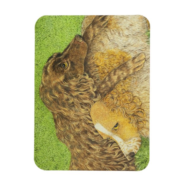 Ímã Posse (Vertical)