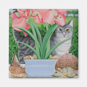 Imã Possibilidades de exploração 2011