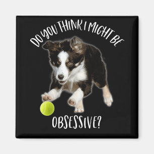 Imã Posso Ser Obsessivo, Collie De Borda Típica.
