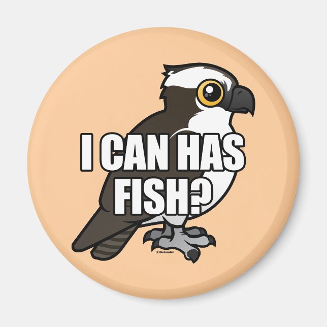 Imã Posso Ter Peixe? (Frente)