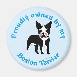 Imã Possuído orgulhosa por uma Boston Terrier