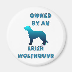 Imã Possuído por um Wolfhound irlandês