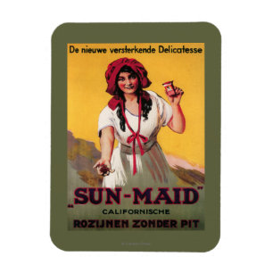 Ímã Poster da passa de Califórnia da Sun-Empregada