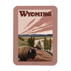 Ímã Poster das viagens vintage do bisonte de