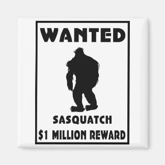 Imã Poster de Sasquatch