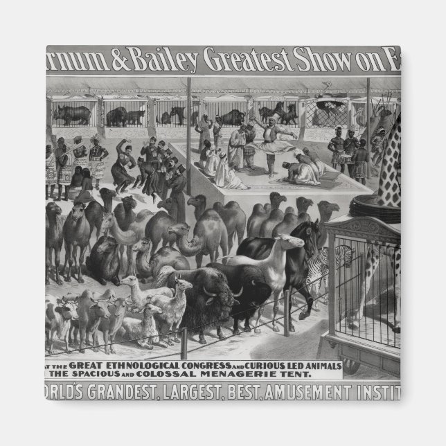 Imã Poster publicando: 'Barnum e Bailey (Frente)