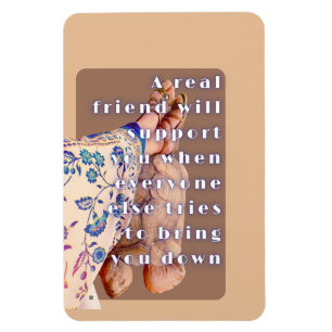 Ímã Poster REAL AMIZADE Lady e sua Tortoise