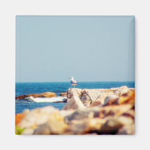 Imã Posto de Gull