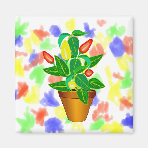Imã Pote com a planta vermelha e amarela da pimenta