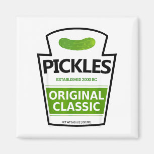 Imã Pote de picles de fantasia preguiçoso 