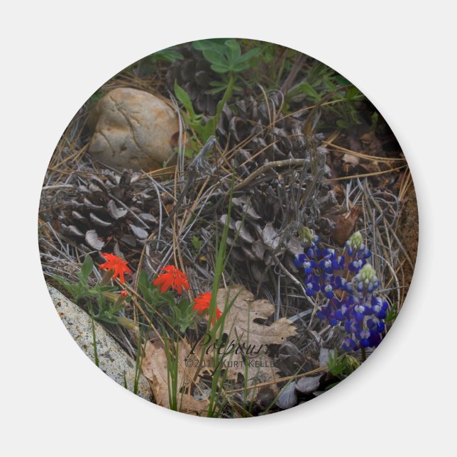 Imã Potes-pourris (Frente)