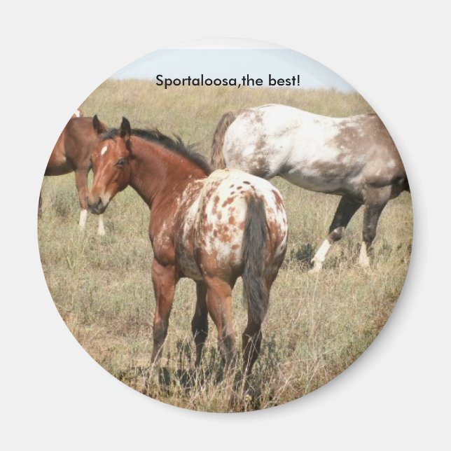 Imã potros (Frente)