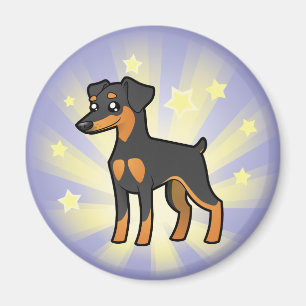 Imã Pouco Pinscher diminuto /Manchester Terrier da