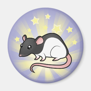 Imã Pouco rato da estrela