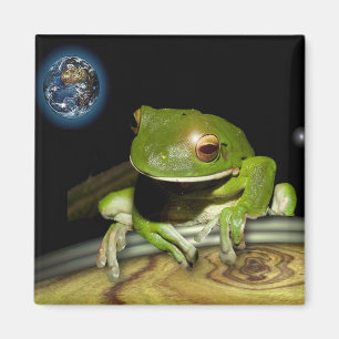 IMÃ POUCO SAPO VERDE