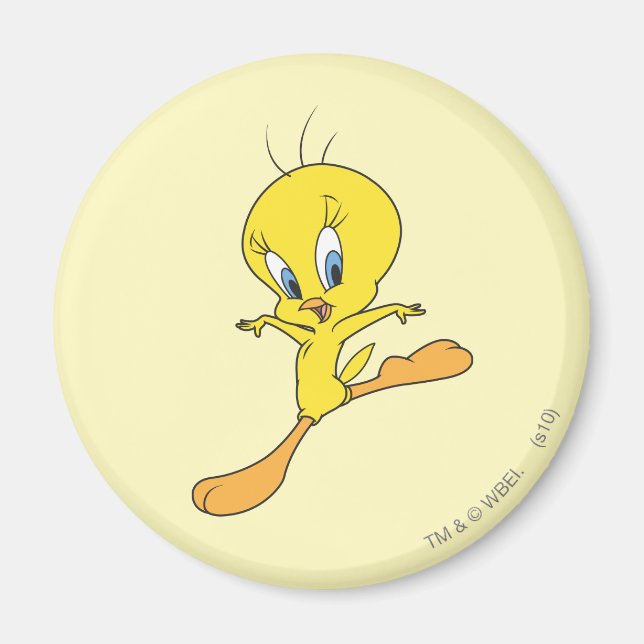 Imã Pouso do TWEETY™ (Frente)
