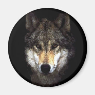 Imã powerwolf