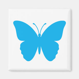 Imã Praça da Borboleta Azul em Forma Quadrada
