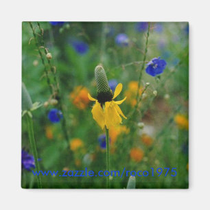 Imã Pradaria Coneflower