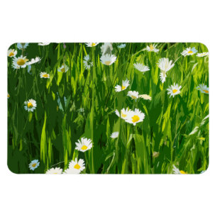 Ímã Prado de flores