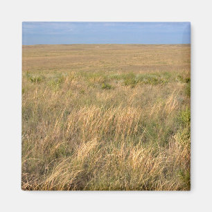 Imã Prado de pastagem a leste de Sidney, Nebraska.