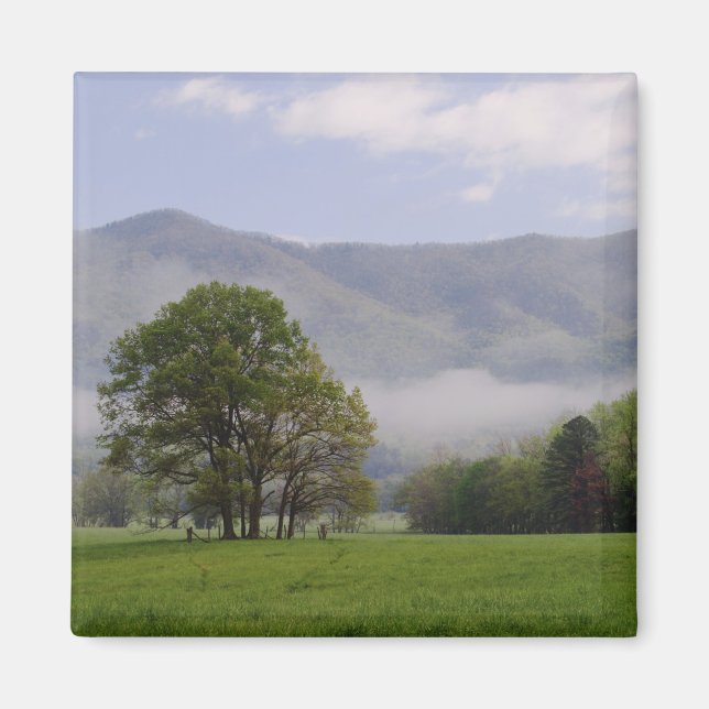 Imã Prado enevoado e Rich Mountain, Cades Cove, (Frente)
