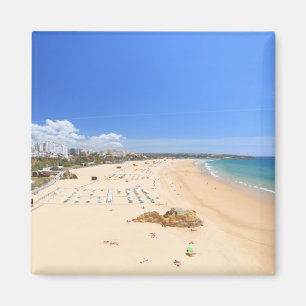 Imã Praia a Dinamarca Rocha