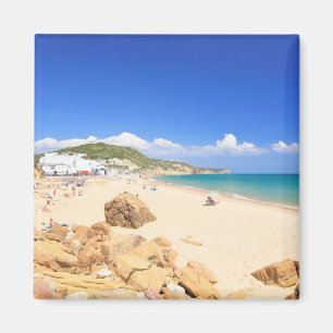 Imã Praia a Dinamarca Salema