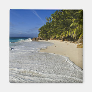 Imã Praia Anse Victorin 2