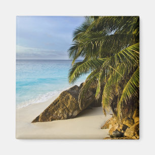 Imã Praia Ansi Victorin