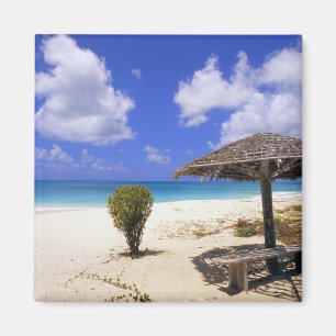 Imã Praia Coco Point, Barbuda, Antigua
